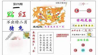 2024香港特马今晚开奖_2024香港特马今晚开奖专业研究解释落实_开发版V86.36.67